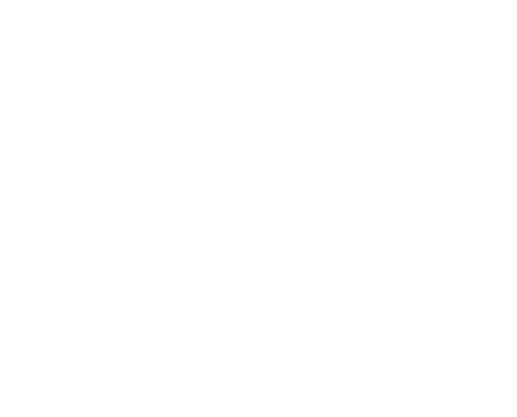 Bear's Kitchen